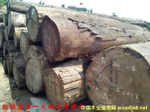 ľĘNԔ--ܛwľ  ׷QSõzľ