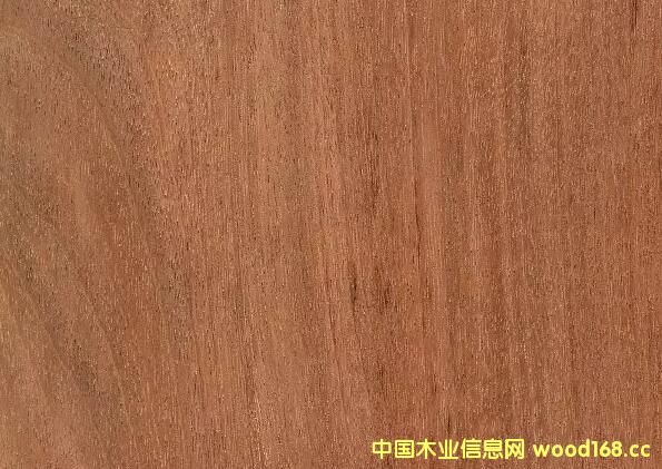 ľĈDVĤ|(zh)~FKľFõľ