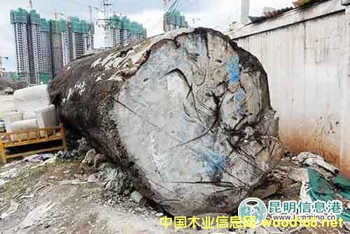 ٶɷԺԌu1ľ ăr(ji)48f(wn)Ԫ