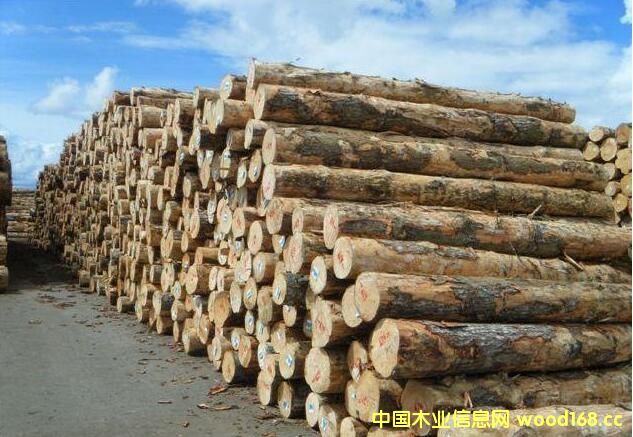 ԭľ(yng) ľļӹSRÆT