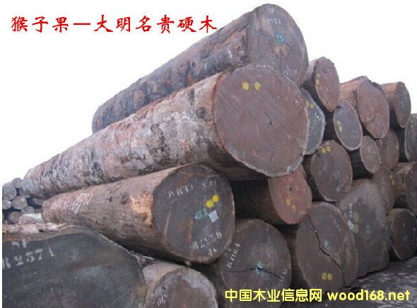 ӹľ  ׷QʥľtԳӹľ