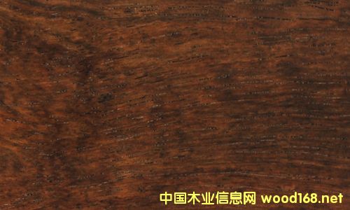 Ҿòļ(x)L(fng)܇ľƤңă(yu)c(din)ȱc(din)