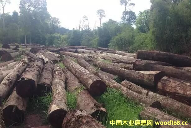 ϓʡeеڶηǷľu(hu)