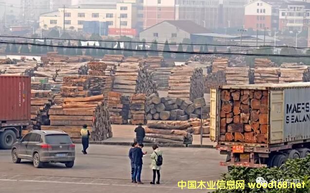 CITESҎ(gu)(zh) tľP(gun)y |ꖼtľЈӭȥC(j)