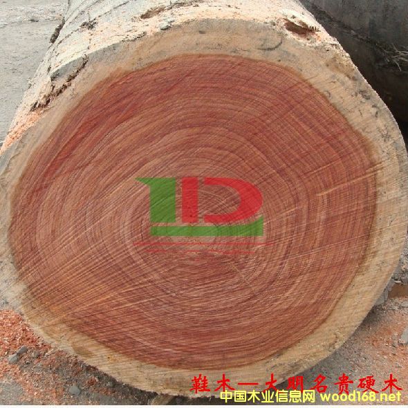 ľĘNԔ--Ьľ  ׷QtõõRľtľ