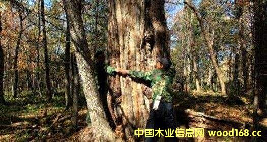 ľ2016ꌦ(du)Ї(gu)L(zhng)˰ٷ֮ʮ