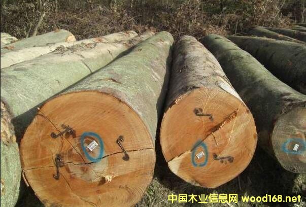 Wľĺ\(yn)M(fi)Ƿ߀и(jng)(zhng)(yu)(sh)