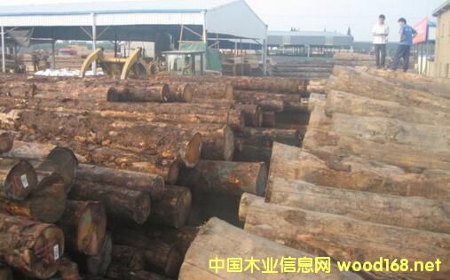 M(jn)ľĳʬF(xin)֏(f)L(zhng)