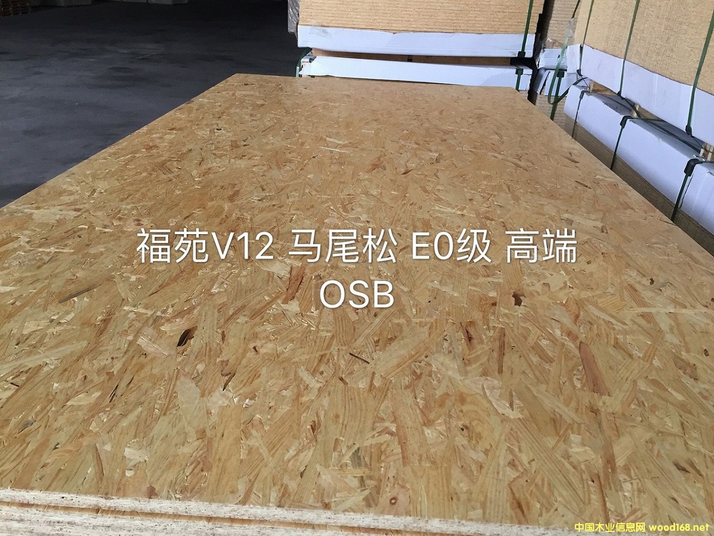 [] ľE0(j)WɰOSB 15MM