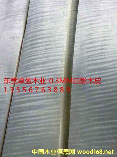 0.3ӰľƤӰľƤԔ(x)B