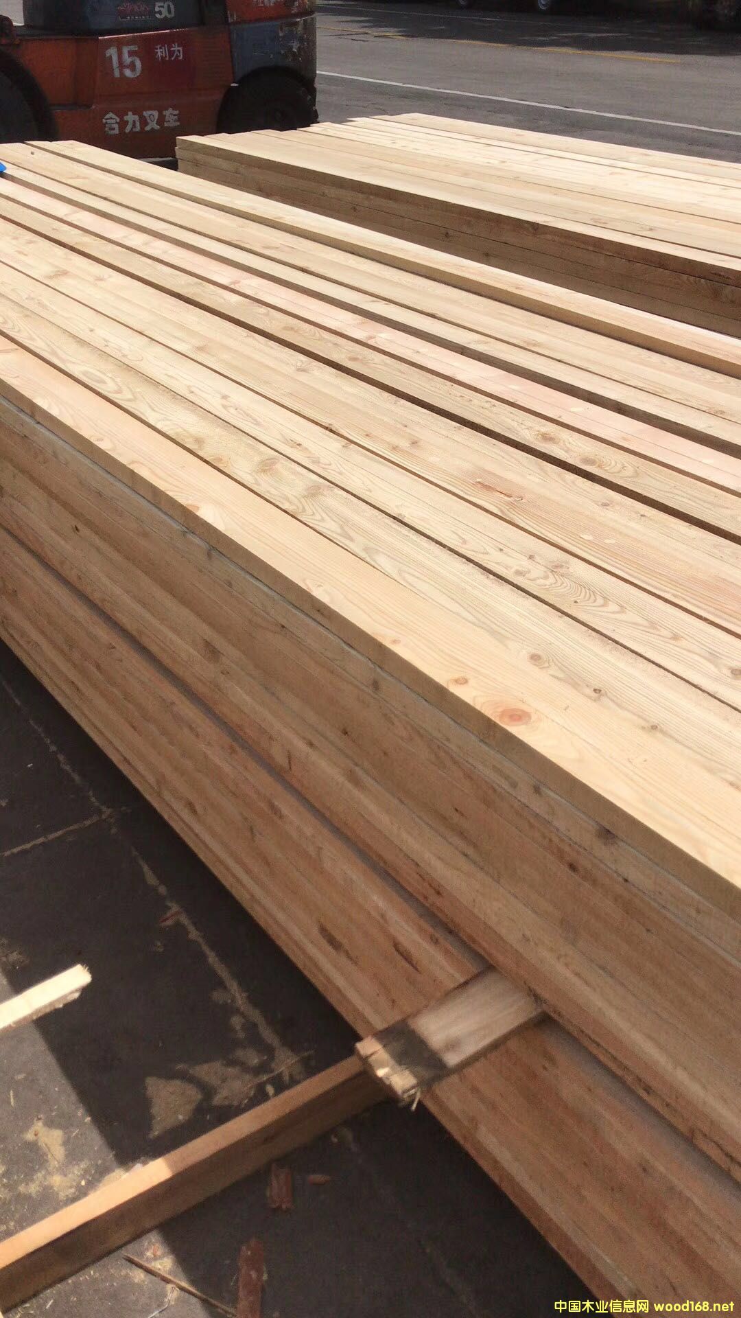 落葉松的詳細(xì)介紹