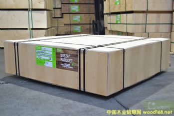 [] (yng)_˹Mڵȫľzϰ