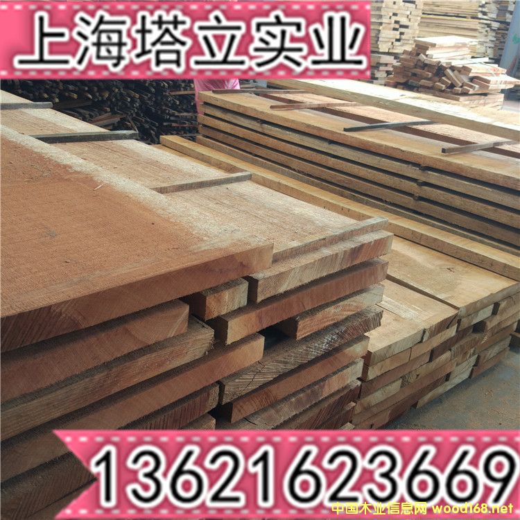 ľ6ֺľļҾߘ݌ľTMڷľ