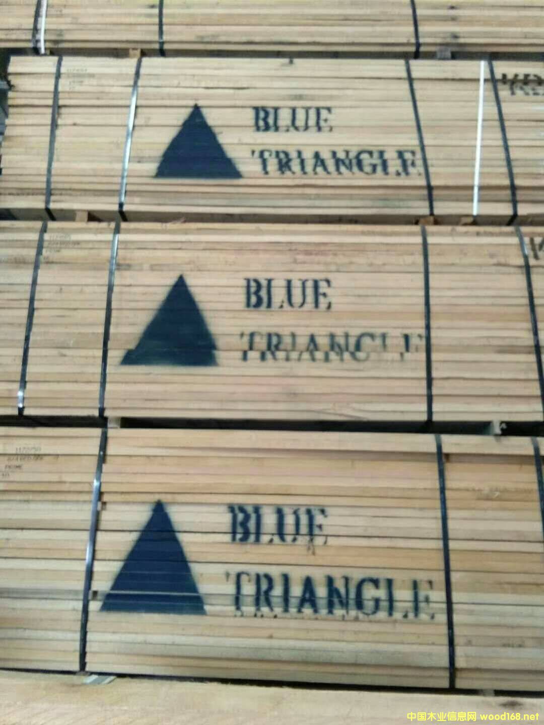 美國紅橡木的詳細(xì)介紹