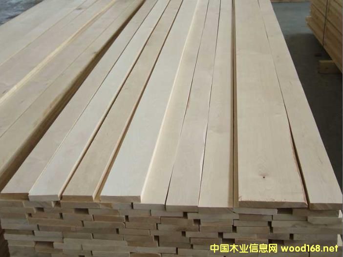 樺木的詳細(xì)介紹