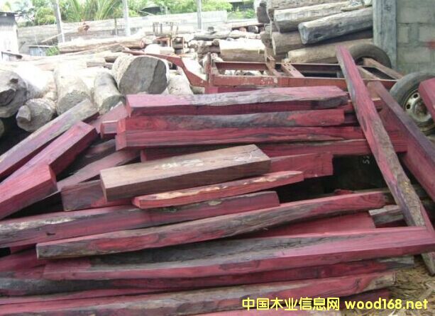 M(jn)R_(d)˹Ӵ~̴ԭľ