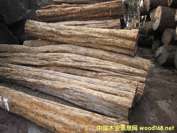 M(jn)Īɣȿ˞ľϹ̴ԭľ