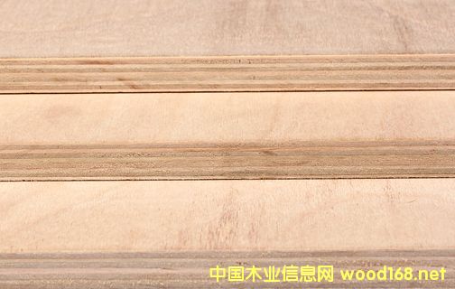 夾板的詳細介紹