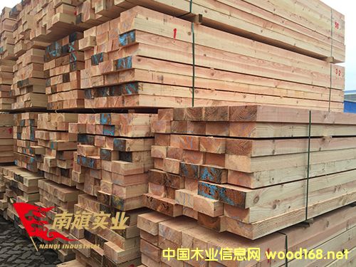 ϺɽľS  (gu)ľăr(ji)