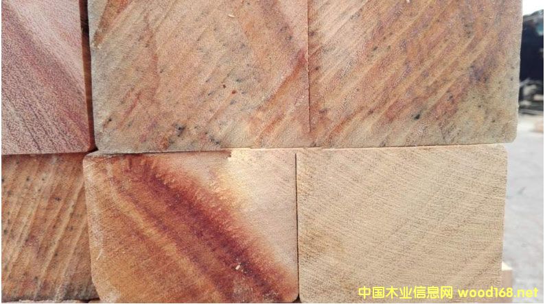 ޲}l(f)r(ji) ޲}(bo)r(ji)