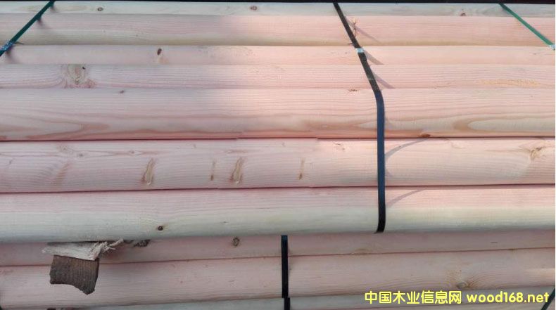 ϺɽľS  ɹŽľl(f)