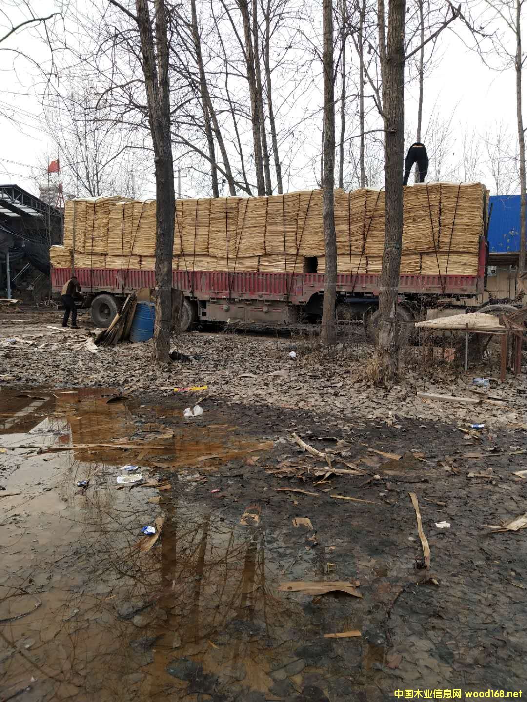 板材的詳細介紹