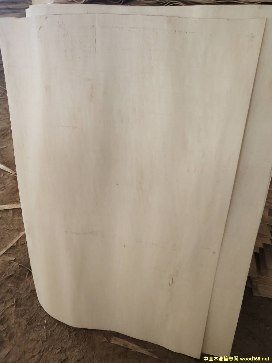 板材的詳細介紹