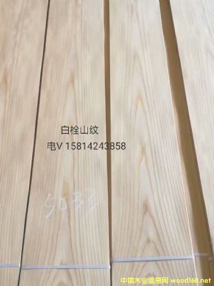 (yu)|(zh)Ȼ˨ɽyľƤ