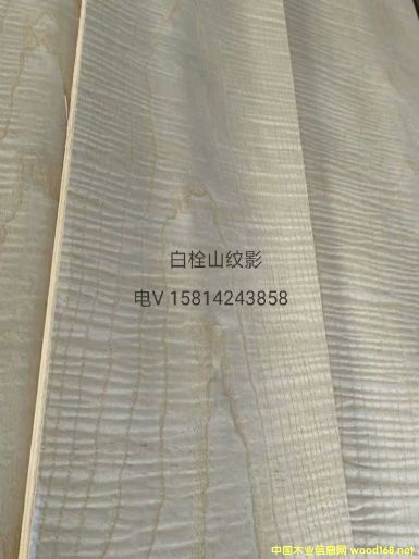 (yu)|(zh)Ȼ˨ɽyӰľƤ