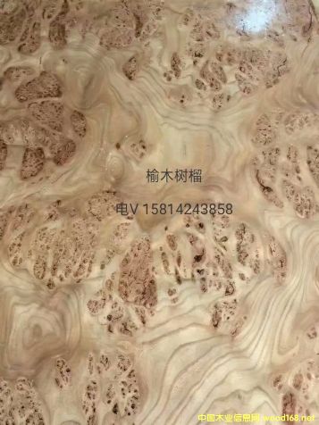 (yu)|(zh)Ȼľ(sh)ľƤ