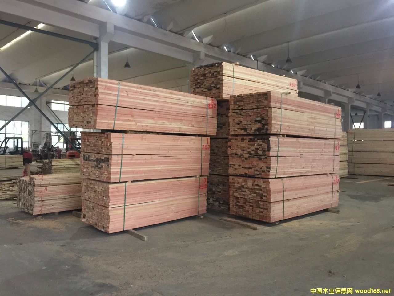 SֱNľľľӡŽb