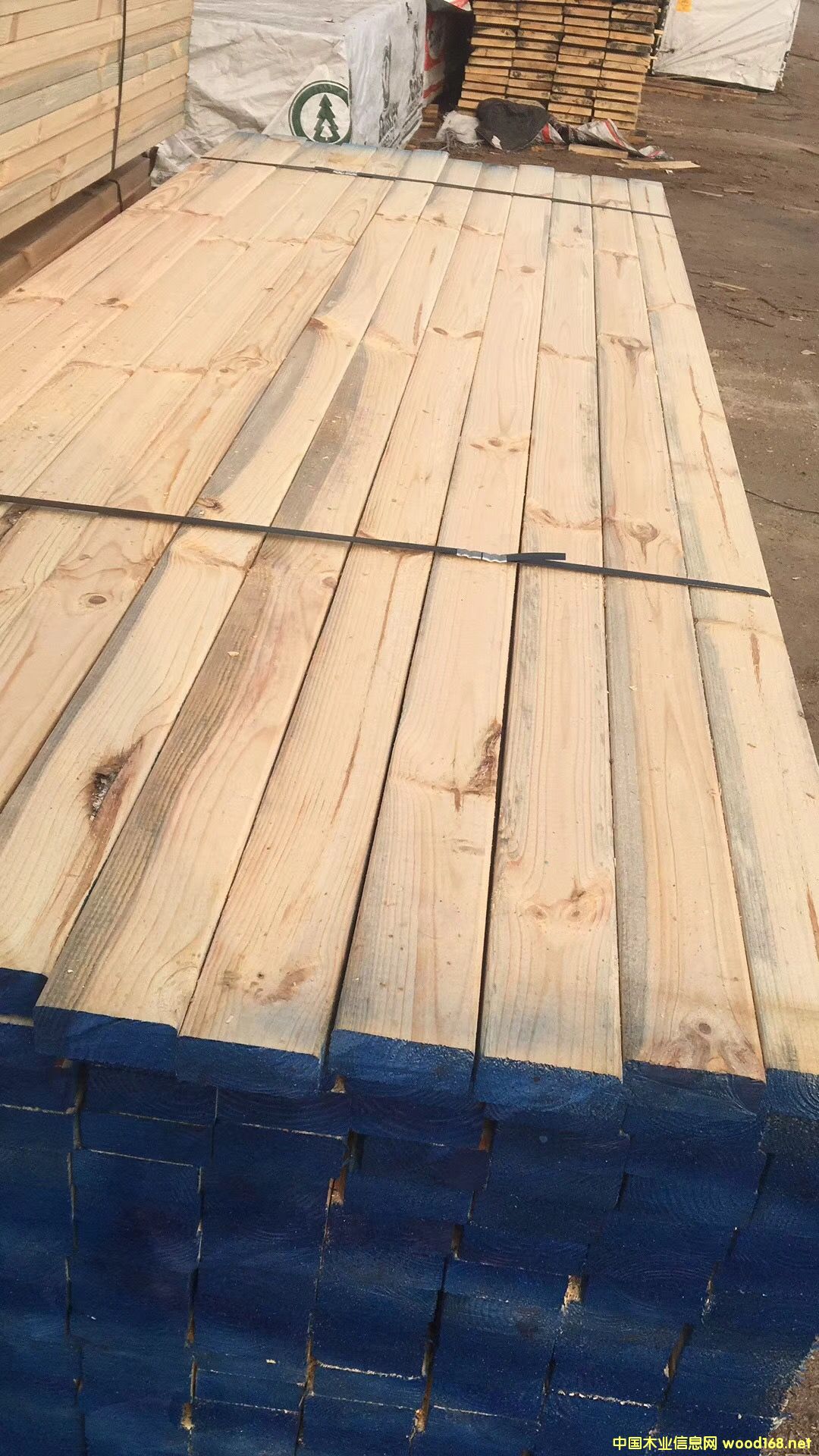 SֱNľľľӡŽb