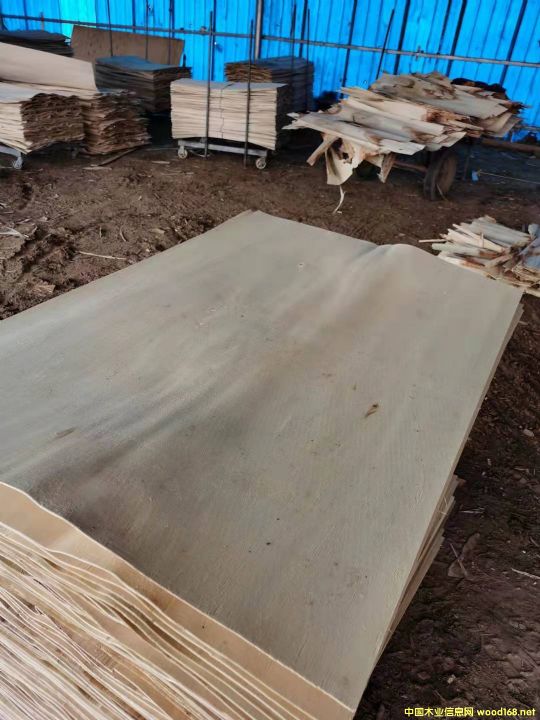 的詳細(xì)介紹