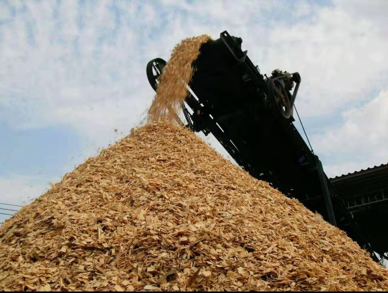 木片的詳細(xì)介紹