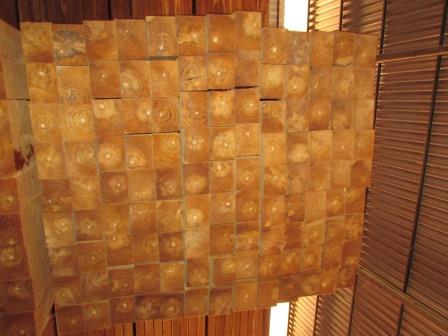 FSC A+ȼ ľ Teak Squares