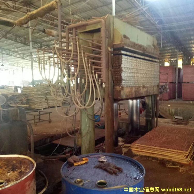 ݄(chung)ʮӶľቺC(j)DƬ