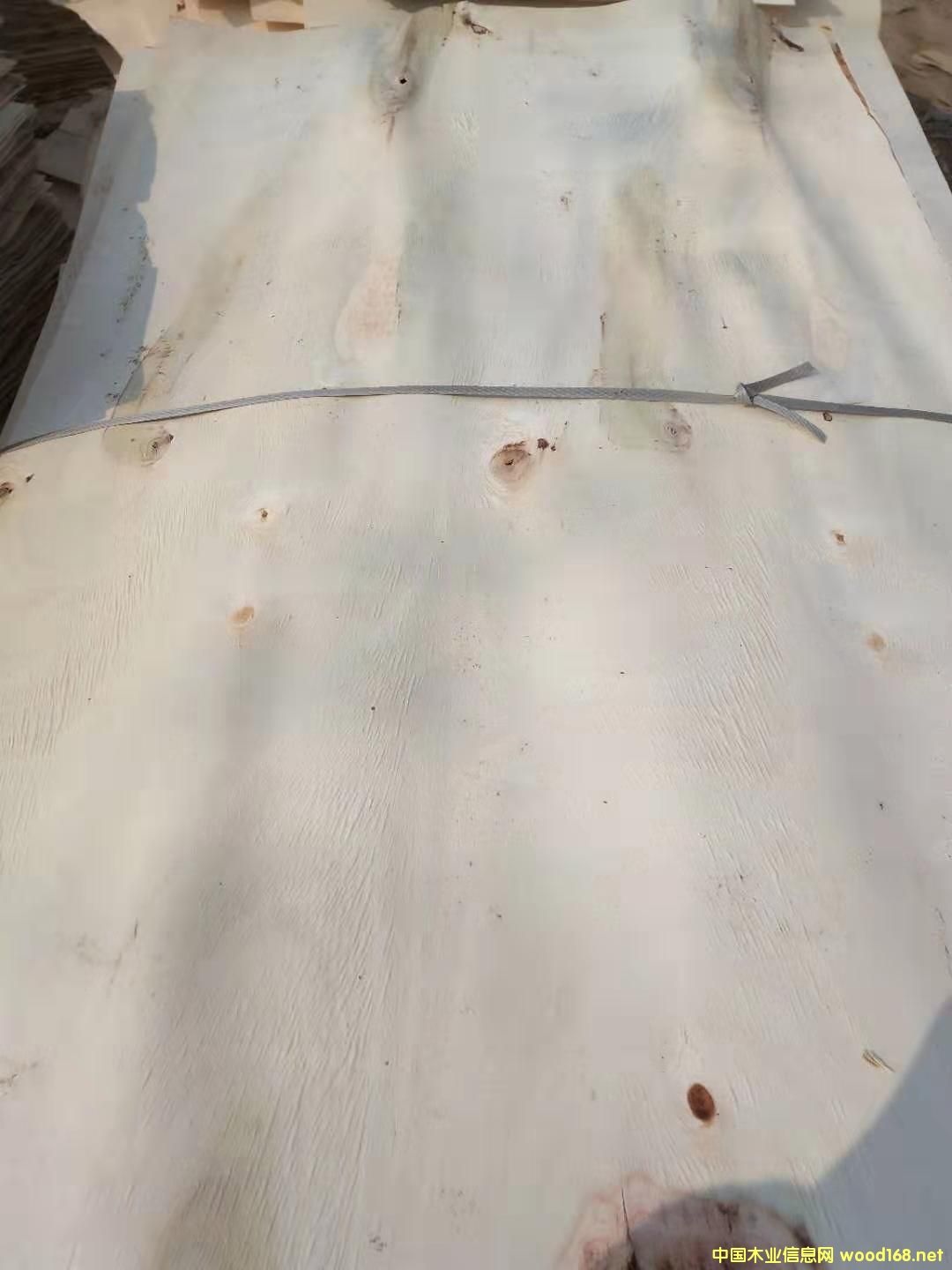 楊木皮的詳細(xì)介紹