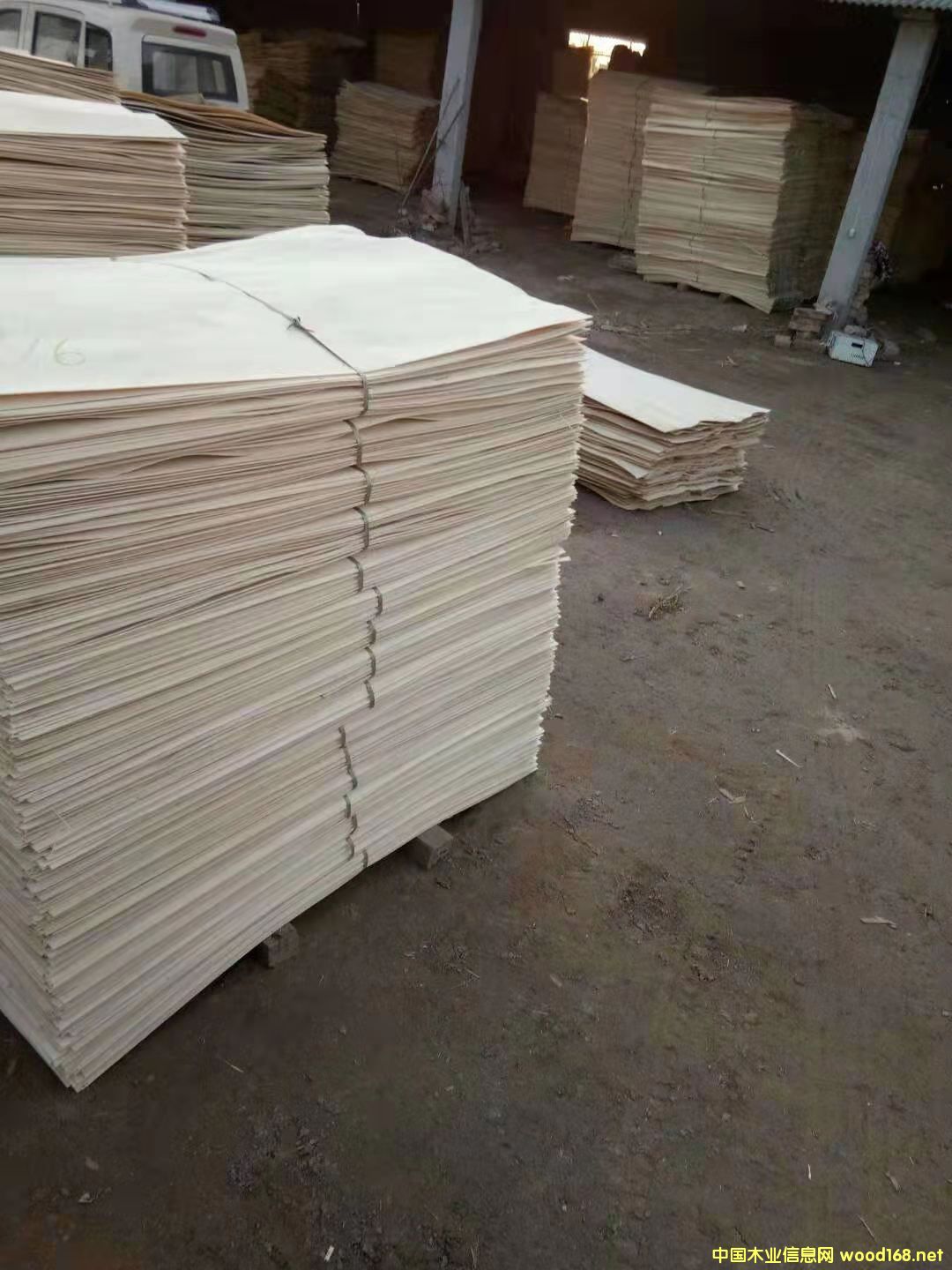 楊木皮的詳細(xì)介紹