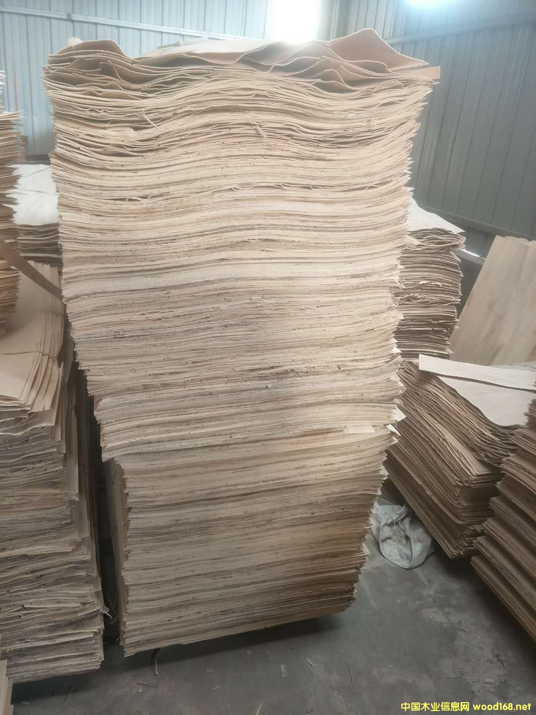 純白的詳細(xì)介紹