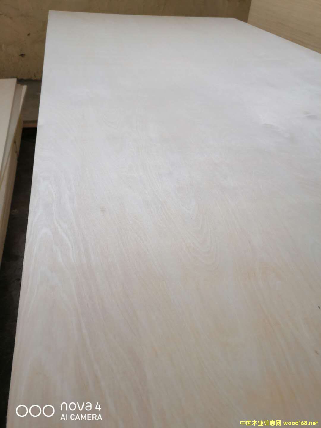 的詳細(xì)介紹