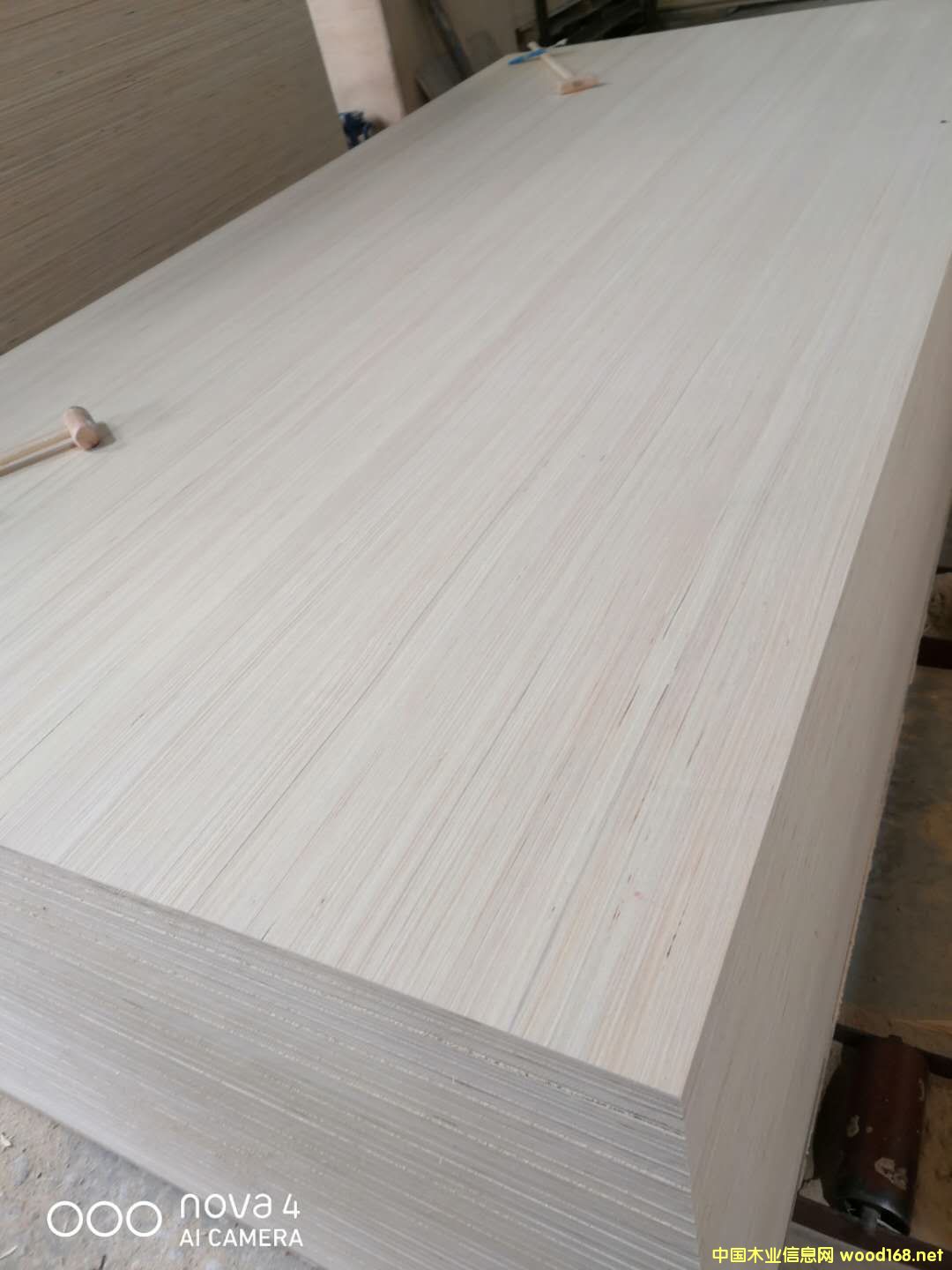 的詳細(xì)介紹