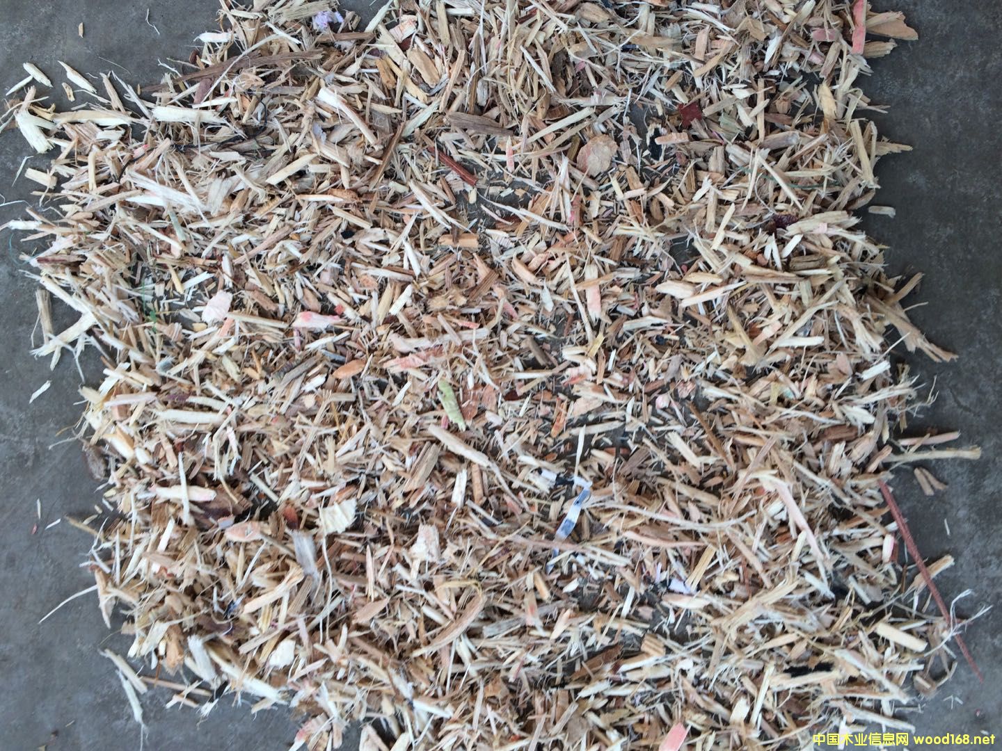 產品的詳細介紹