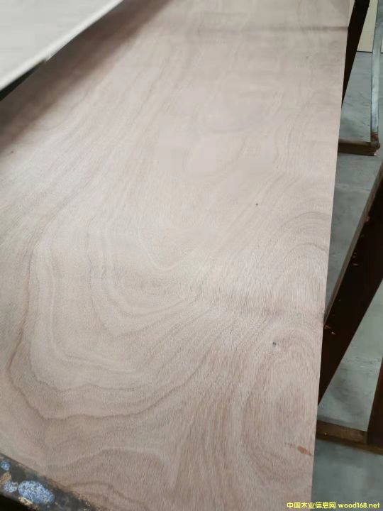 的詳細(xì)介紹