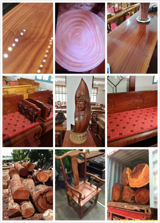 [] (yng)һоľһİģmahogany,~һһ