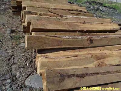 [] ϚgACACIAԭľM˼ľԭľ̻ľľ