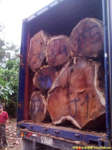 [] (yng)M(jn)˼ľACACIAľϚgľ˼ľ