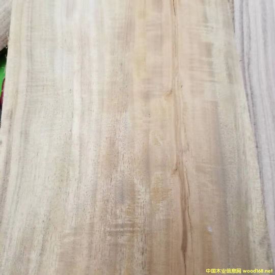 [] Mڴ~˼ľACACIA˼ľԭľ