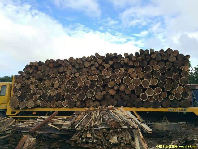 [] ϚgACACIAԭľM˼ľԭľ̻ľľ