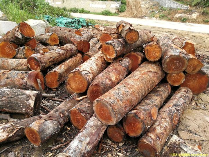 [] (yng)һоľһİģmahogany,~һһ