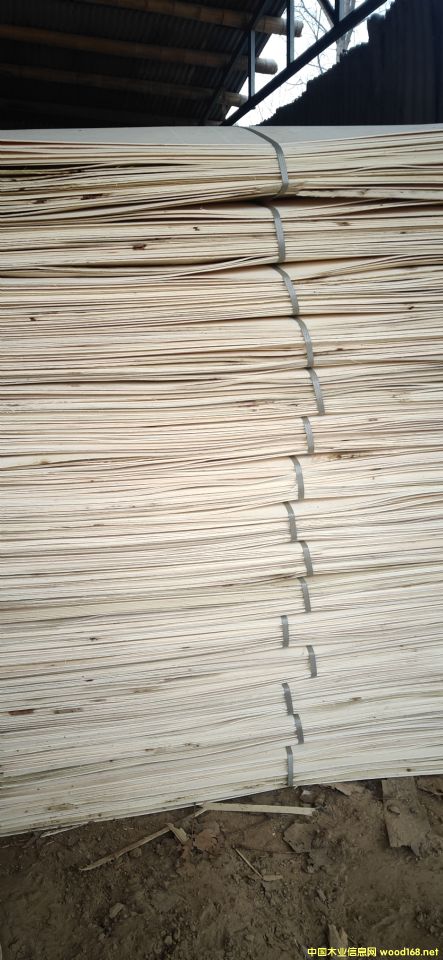 的詳細(xì)介紹